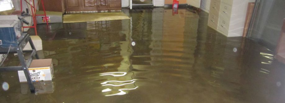 Flood Damage Restoration Ellenbrook Cover Image