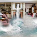 Flood Damage Restoration Darlinghurst profile picture