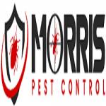 Morris Rodent Control Adelaide profile picture