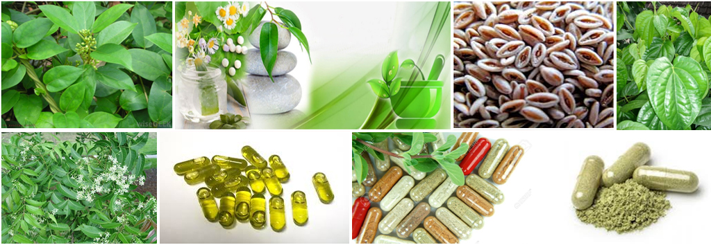 Third Party Manufacturing of Ayurvedic Products | Herbal Third Party Firm
