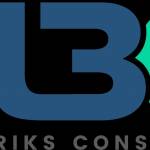 Metabriks Consulting Profile Picture