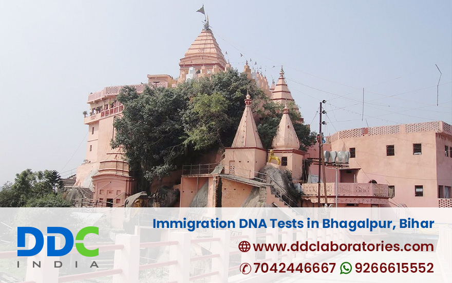 Immigration DNA Tests in Bhagalpur Bihar - DDC Laboratories India