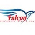 Falcon Attestation Profile Picture