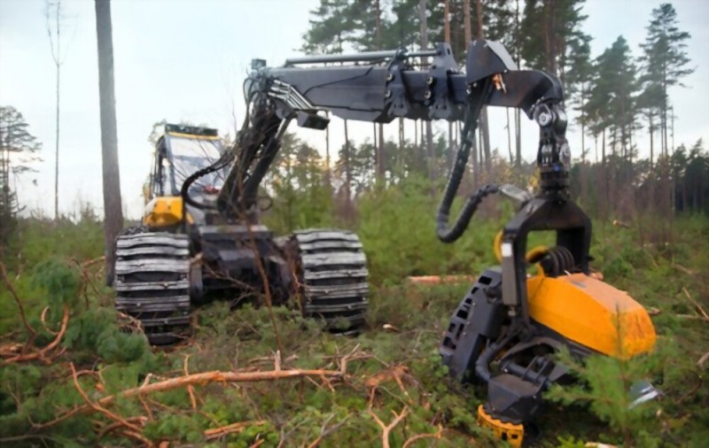 Choosing the Right Forestry Equipment for Land Clearing and Mulching: fecon — LiveJournal