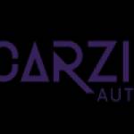 Carzilla Auto Services Profile Picture