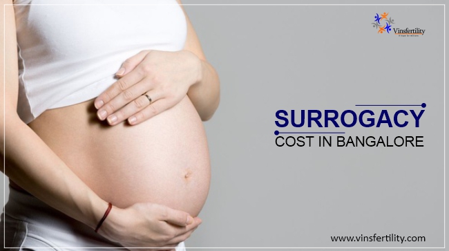 Surrogacy Cost in Bangalore: Surrogate Mother Cost in Bangalore, Low-cost Surrogacy Centres in Bangalore - Vinsfertility.com