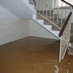 Flood Damage Restoration Bondi Junction profile picture