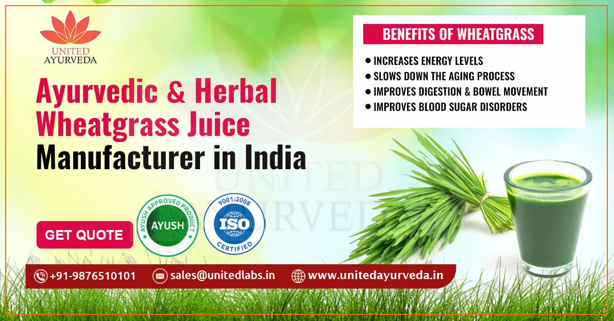Top #1 Wheatgrass Juice Manufacturing Company in India - Quote Now