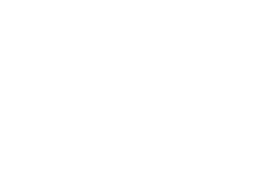 Business Plan Consultant | Business Plan Writing Services