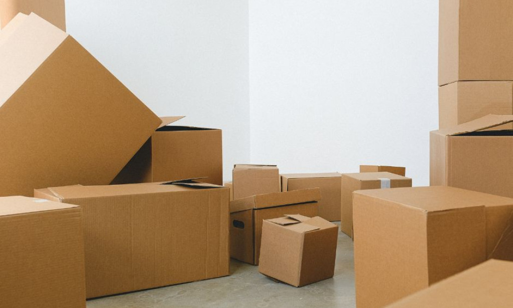 What is the size and scope of the packers and movers industry in Pune