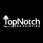 To Notch Pro Painting Profile Picture
