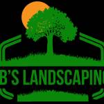 jbs landscaping Profile Picture