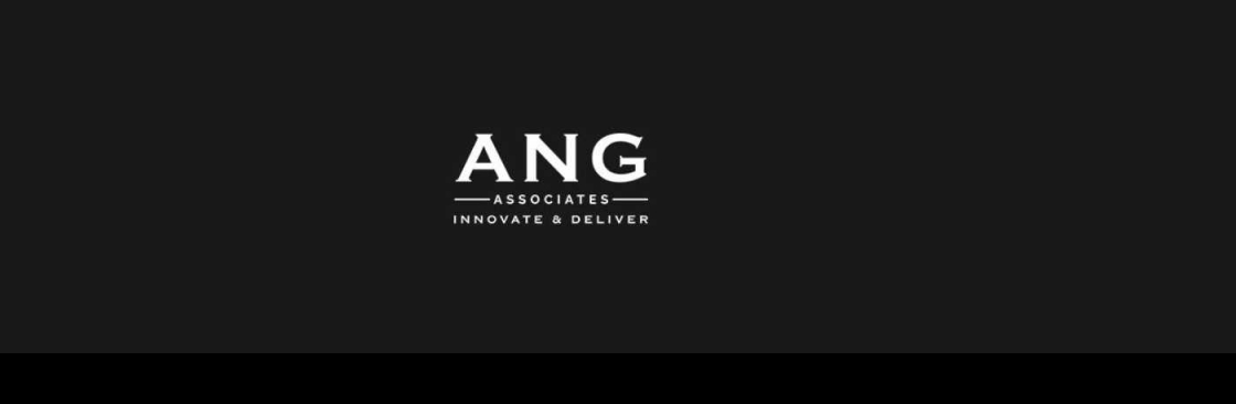 ANG Associates GmbH Cover Image