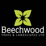 Beechwood Trees Profile Picture