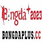 bongdaplus cc Profile Picture