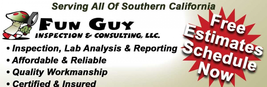 Fun Guy Inspection Consulting LLC Cover Image