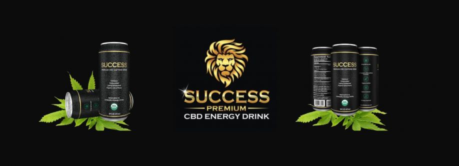 Drink Success Cover Image