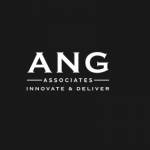 ANG Associates GmbH Profile Picture