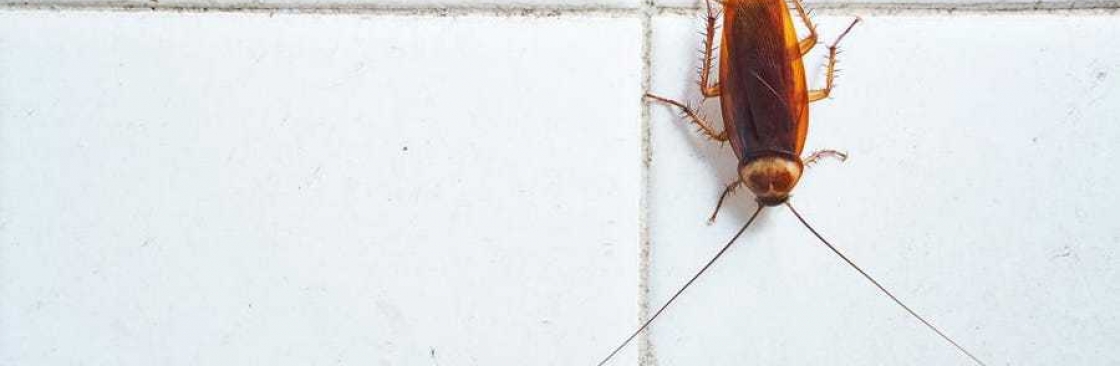 Frontline Cockroach Control Adelaide Cover Image