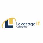 Leverage IT Consulting Profile Picture