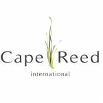Cape Reed International Profile Picture