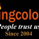 Flyingcolour Accounting Company in Dubai Profile Picture
