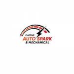 Cairns Auto Spark Mechanical Profile Picture