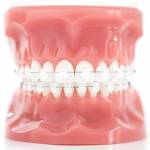 Blackburn Orthodontics Profile Picture