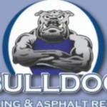 Bulldog Sealing Profile Picture