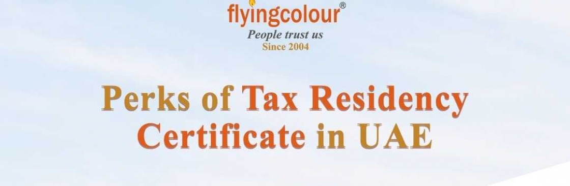 Flyingcolour Accounting Company in Dubai Cover Image