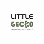 Little Gecko Technology Profile Picture