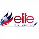 Elite Wiki Writing Profile Picture