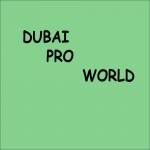Dubai Pro News Profile Picture