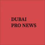 Dubai Pro World Profile Picture