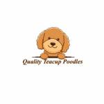 Quality Teacup Poodles Profile Picture
