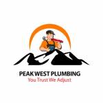 Peak West Plumbing Profile Picture