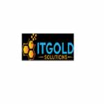 ITGOLD Solutions Profile Picture