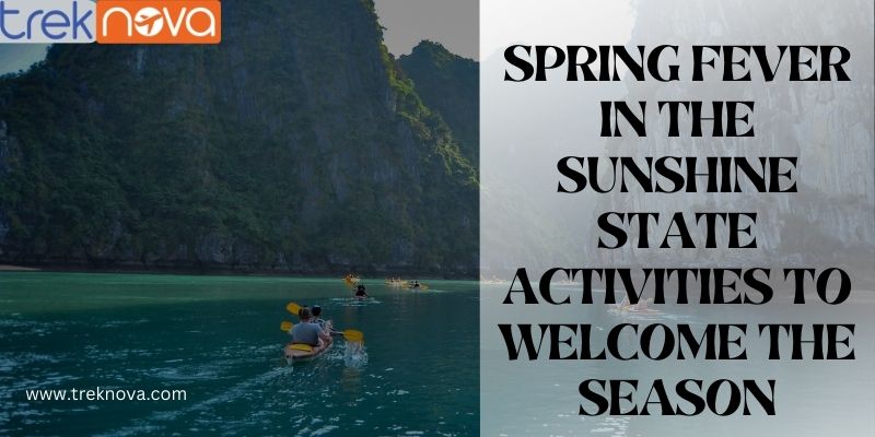 Spring Fever in the Sunshine State: Unique Orlando Activities