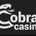 Cobra Casino profile picture