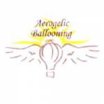 aerogelicballooning Profile Picture