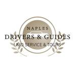 Naplesdrivers guides Profile Picture