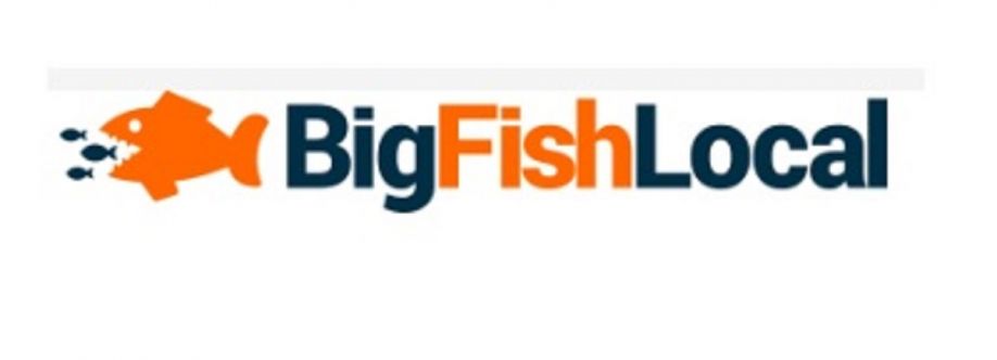 Big Fish Local Cover Image