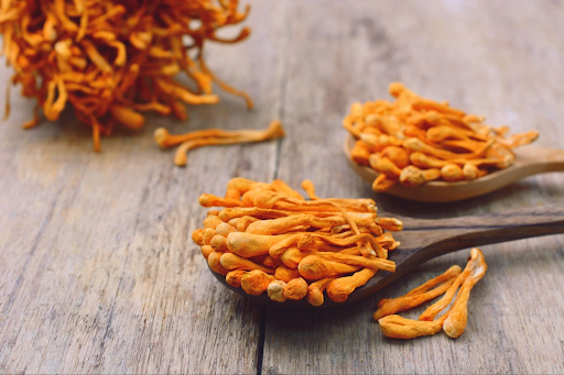 The Incredible Power of Cordyceps Mushroom: A Natural Boost for Your Well-being | by Daniel Whitechurch | Jun, 2023 | Medium