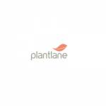Plantlane Retail plantlane Profile Picture