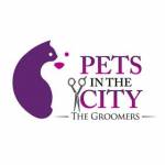 Pets In The City Pet Care Dubai Profile Picture