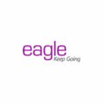 Eagle Information Systems Profile Picture