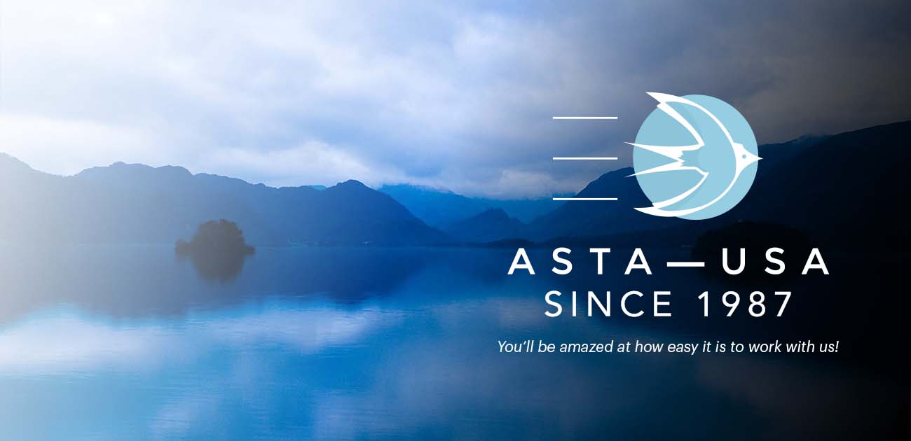 Complete Business Translation Services | ASTA-USA