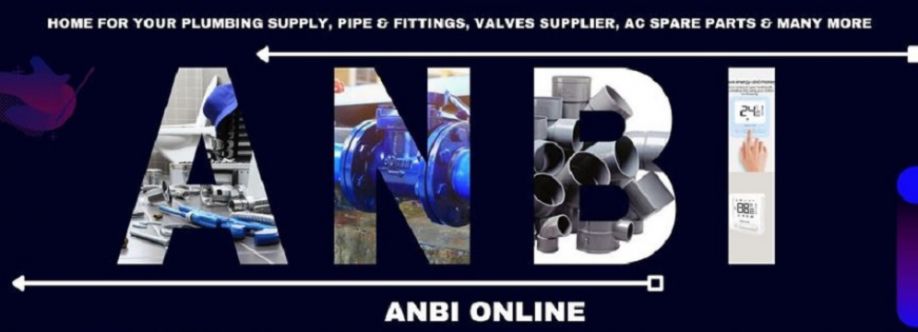 Anbi Solutions Cover Image