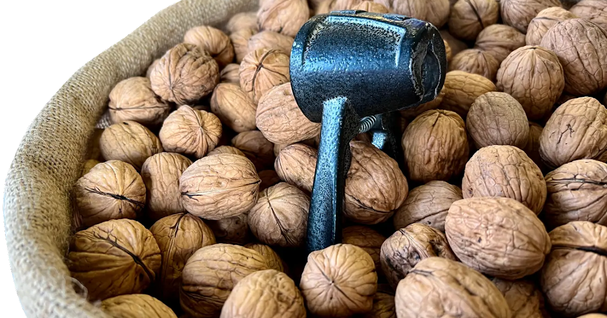 How to buy fresh and good quality walnuts?