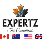 Unlocking the Path to Saudi Arabia: Expertz Consultants — Your Trusted Immigration Agents | by Expertz Immigration | Jun, 2023 | Medium